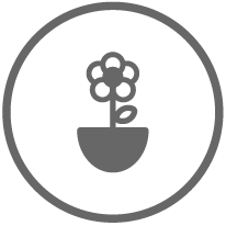 La imagen no esta disponible