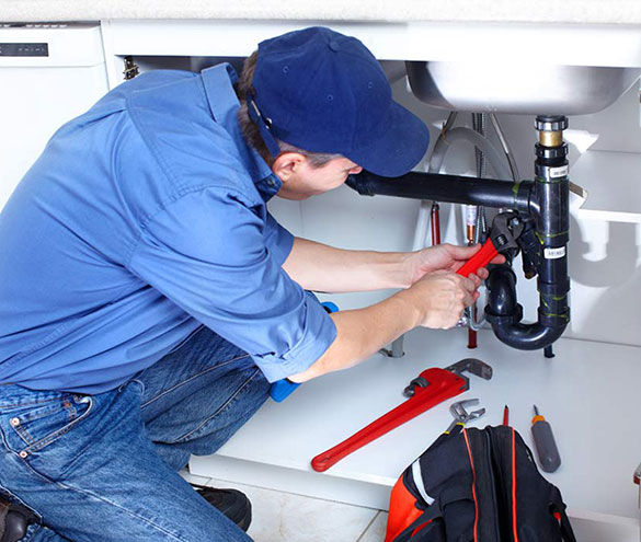 La imagen no esta disponible