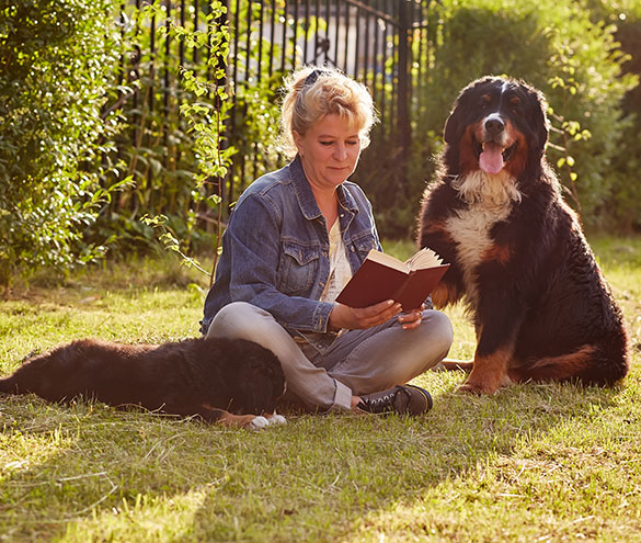 La imagen no esta disponible