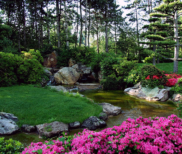 La imagen no esta disponible