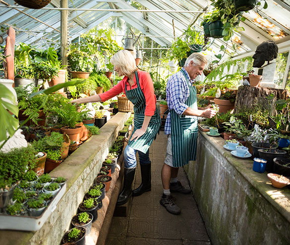 La imagen no esta disponible